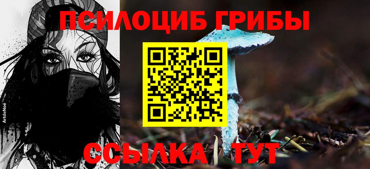 Псилоцибиновые грибы мицелий  Вход с VPN  Ревда  Галлюциногенные грибы Magic Shrooms 